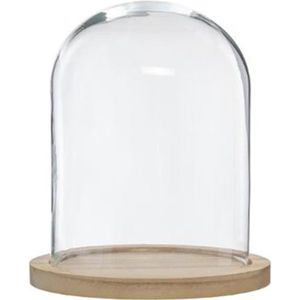 BEGÅVNING Cloche en verre avec socle, 26 cm - IKEA