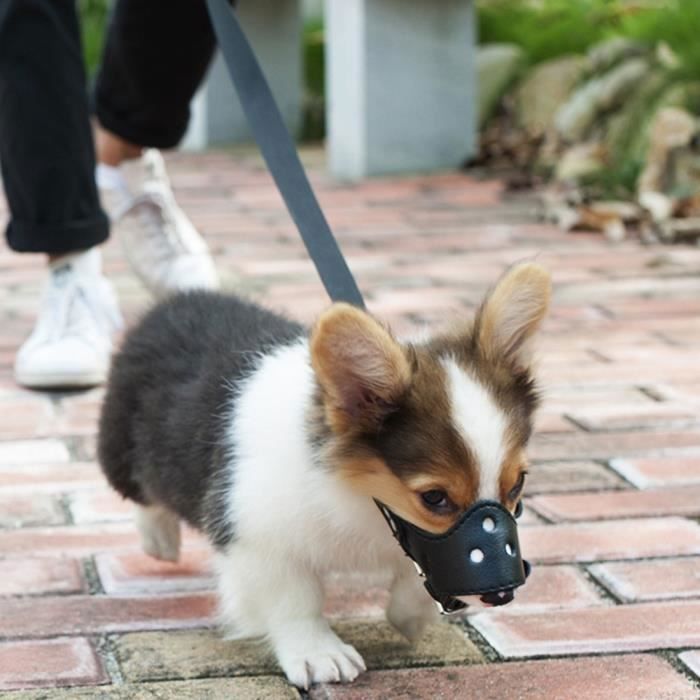 Comparer les prix de Taille S Anti-Aboiement Muselière Cuir Réglable pour Chiens écorce contrôle Muselière Anti Morsure pour Petits Chien Noir MUSELIERE