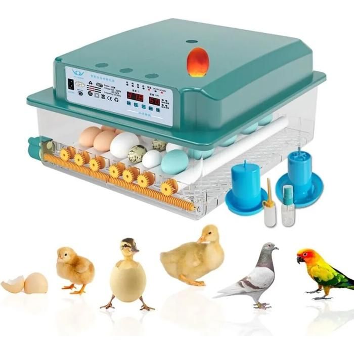 Meilleurs prix pour Incubateur entièrement automatique pour poulets couveuse de poulets ferme incubateur pour poulets incubateurs pour 16 œufs YYV