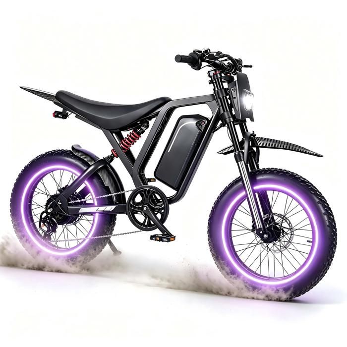 Vélo Électrique 20 R700 Moteur 1500W Batterie Détachable 52V 25Ah Freins Hydrauliques Shimano 7 Rapports Portée 50-60 km