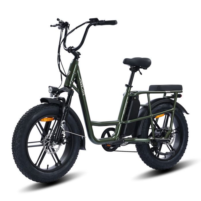 AIVA Vélo Électrique Tout Terrain - Roues 20*4 - Moteur 1000W - Batterie 48V 13Ah - Autonomie 60-120km (Mode ASSIST)- Vert