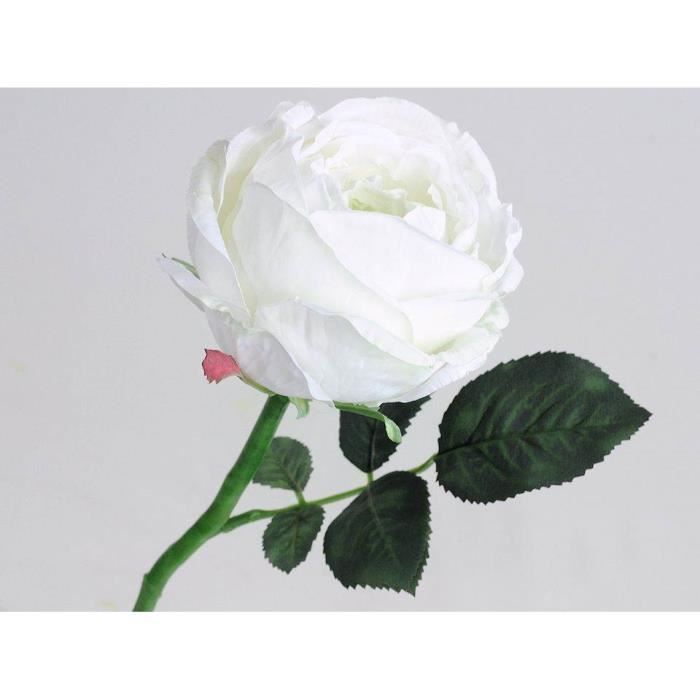 Fleur coupee synthetique rose ancienne blanche tige 33 cm - h - Cdiscount  Maison