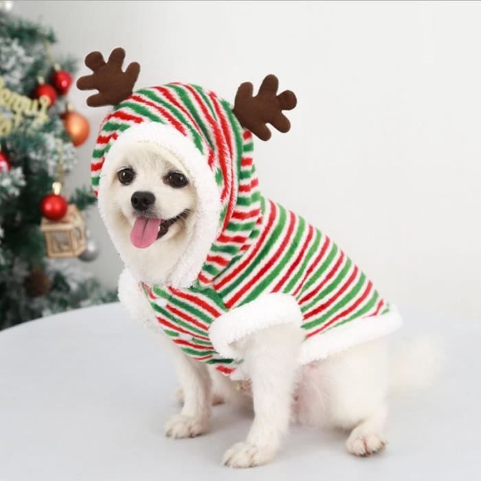 Manteau noel chien 2025