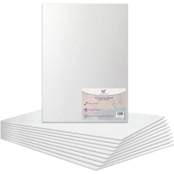 Belle Vous Lot de 14 Toiles Vierges – Peinture x 30 cm – Assiettes de
