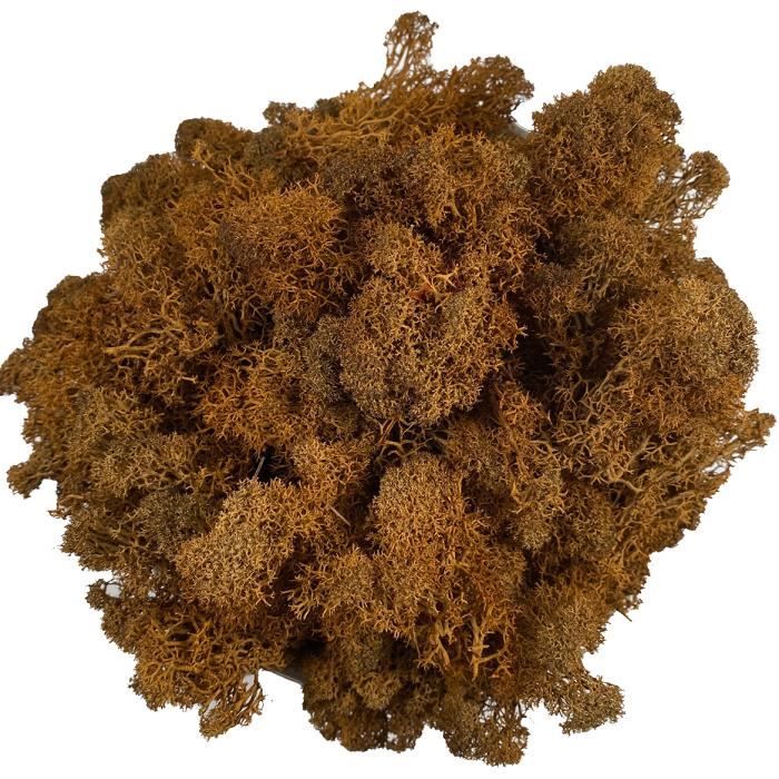 Couronne Artisanale En Mousse De Renne Séchée - Décoration Naturelle Norvégienne, Plusieurs Couleurs