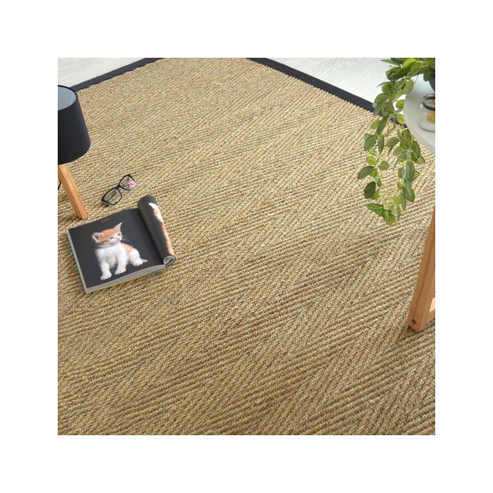 Destockage Jonc De Mer