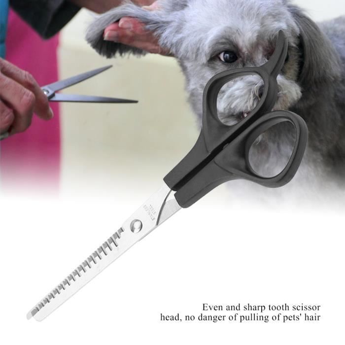 TD® Électrique absorbeur de poils d'animaux adsorption cheveux aspirateur  chat cheveux nettoyant collant épilation cheveux - Cdiscount