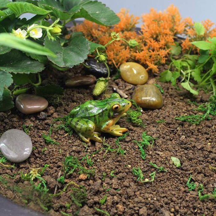 32 Pièces Figurines Miniatures Grenouilles Mignonnes - Ornements Jardin, Gâteau Et Voiture