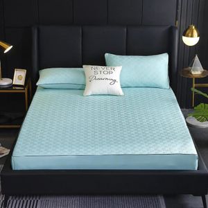 Latex Vinyle Peinture Draps/ Draps-Housses 200x230 CM Noir 2,00x2,30m 