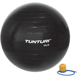 BALLON SUISSE-GYM BALL Ballon de gym TUNTURI - 55cm - Noir - Fitness Inte