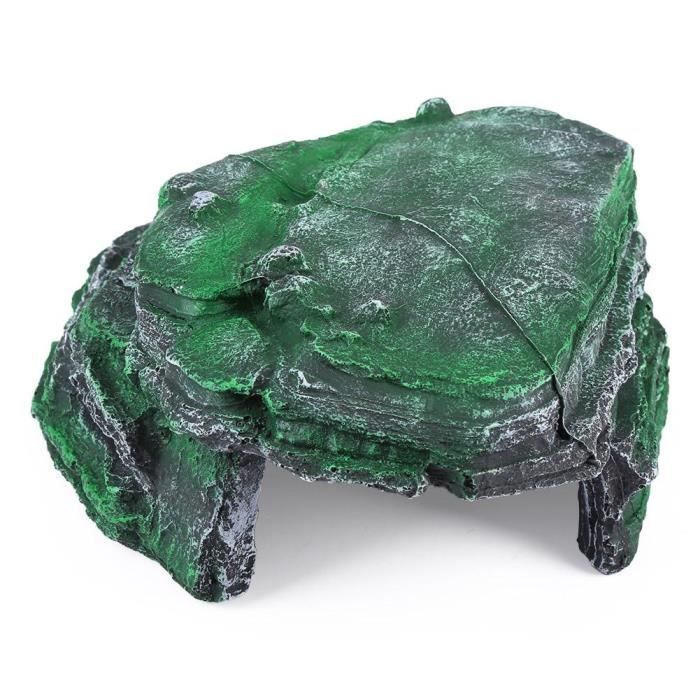 Plate-forme tortue