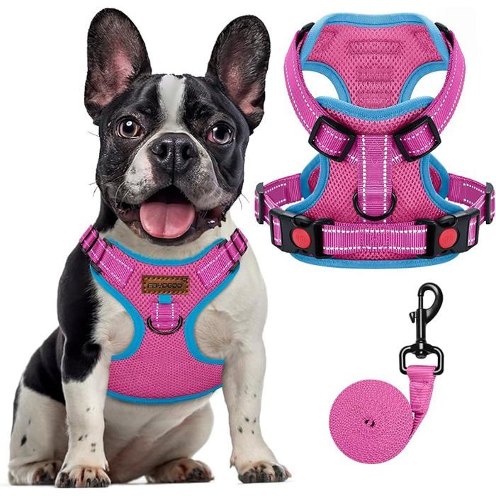 Ensemble harnais et laisse pour chiens de petite et moyenne taille anti-traction avec gilet réfléchissant en maille XS