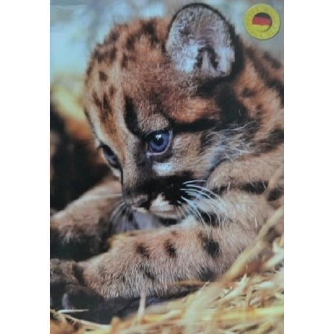 Puzzle Animaux Animal Guepard 99 Pieces Cdiscount Jeux Jouets Puzzle Animaux Animal Guepard 99 Pieces Cdiscount Jeux Jouets