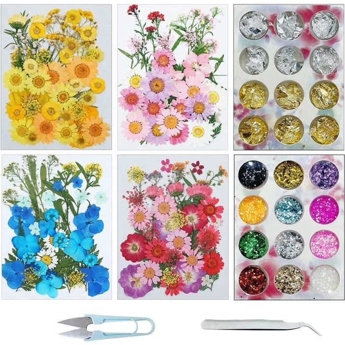 Woohome Kit 69 Pièces Fleurs & Feuilles Séchées Pressées – Idéal Pour Résine, Cadres, Onglerie & DIY