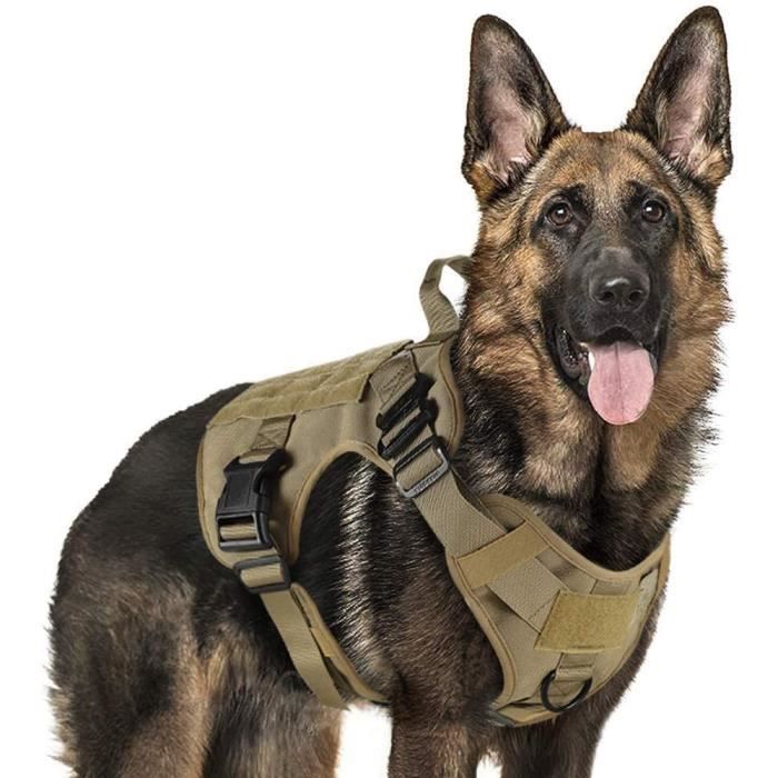 Harnais animal Gilet tactique pour chien de chasse vetements 1000d en Nylon pour animaux de compagnie gilet de Police Tan XL D15 Cdiscount