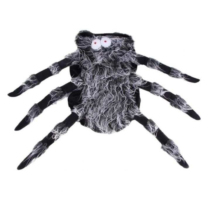 cat spider costume