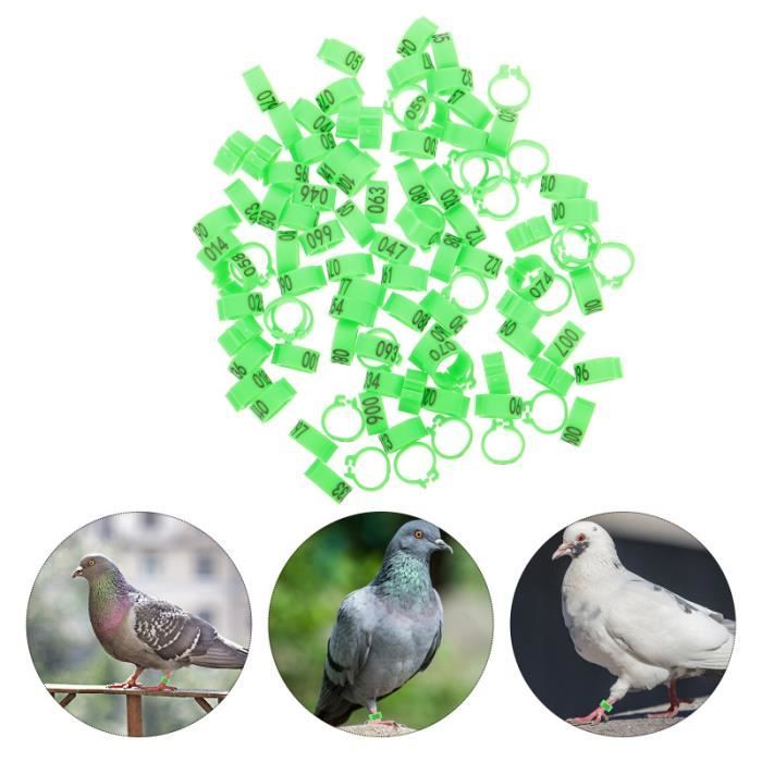 50 Anneaux De Jambe Pour Volaille - Plastique Coloré Numéroté | Pour Poules, Canards, Dindes, Oies | Taille 20 Mm, 5 Couleurs - 11