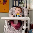 Bambisol Chaise Haute Bébé Evolutive Pliable | Roulettes, Assise Réglable, Dossier Inclinable-1