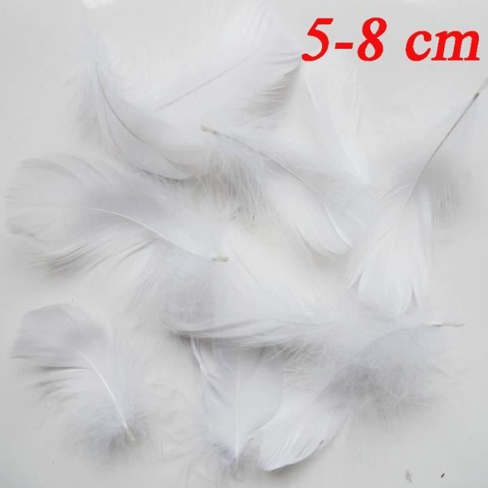 30 Plumes De Faisan Naturelles 15-22cm Pour Artisanat Et Loisirs Créatifs