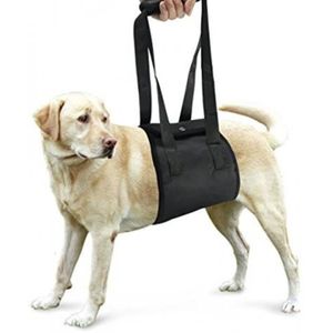 Harnais chien pattes arriere - Cdiscount