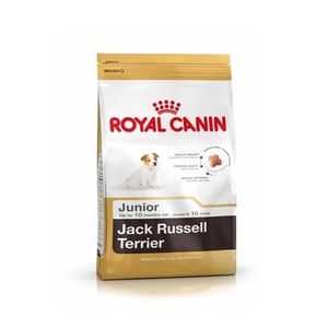 CROQUETTES Croquettes Royal Canin Jack Russel Junior Sac 3 kg