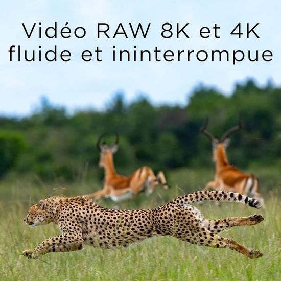 CFexpress Type B Memory Card Support Raw 4K/8K Video Recording Up To