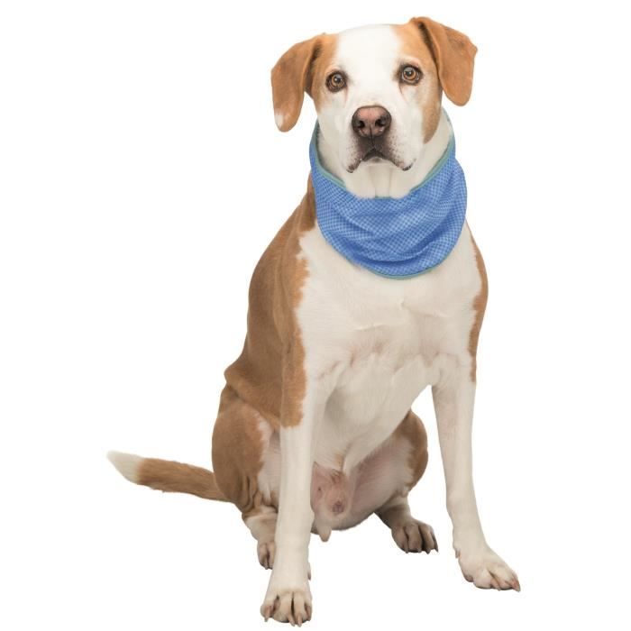 TRIXIE Bandana rafraîchissant PVA - L : 38–52 cm - Pour chien