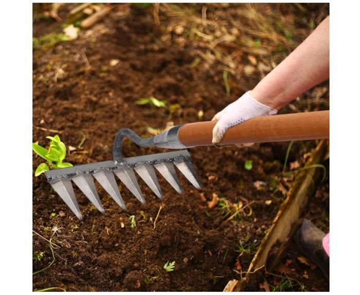 Râteau Main Jardin Acier Carbone Jardin Désherbage En Acier Au Carbone, Râteau à Dents Robuste En Métal Râteau Déchaumage Métal Robuste Râteau Main Jardin Acier Carbone Jardin Désherbage En Acier Au Carbone, Râteau à Dents Robuste En Métal Râteau Déchaumage Métal Robuste