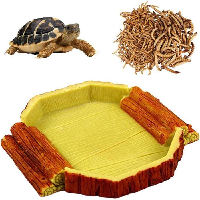Meilleurs prix pour 1 pièce Specialty Wood Grain Tortue Terrestre Water Bowl Enclos Tortue Terrestre Exterieur Terrarium Tortue Terrestre