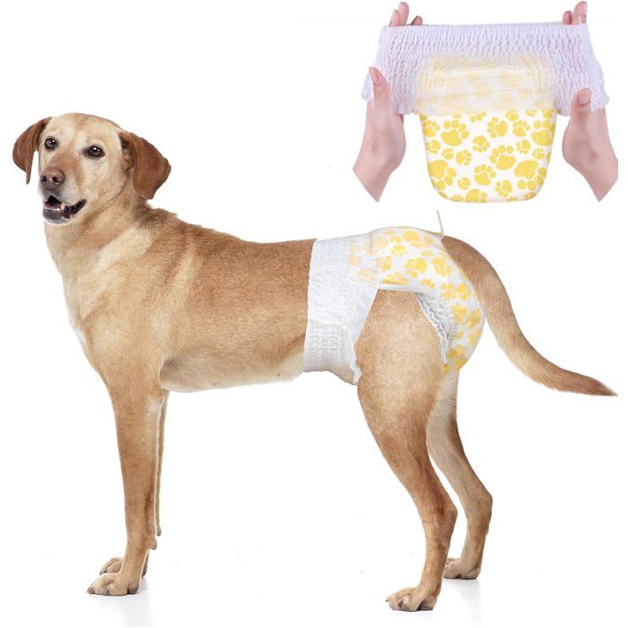 Couche Chien Femelle - 10 Pièces Couches Pour Chiens Et Chats Culotte Chiennes Chaleurs Couche Pour Chien Incontinent À Enfil[C7]