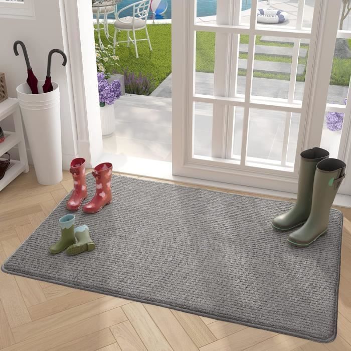 Tapis Entre Intrieur Absorbant