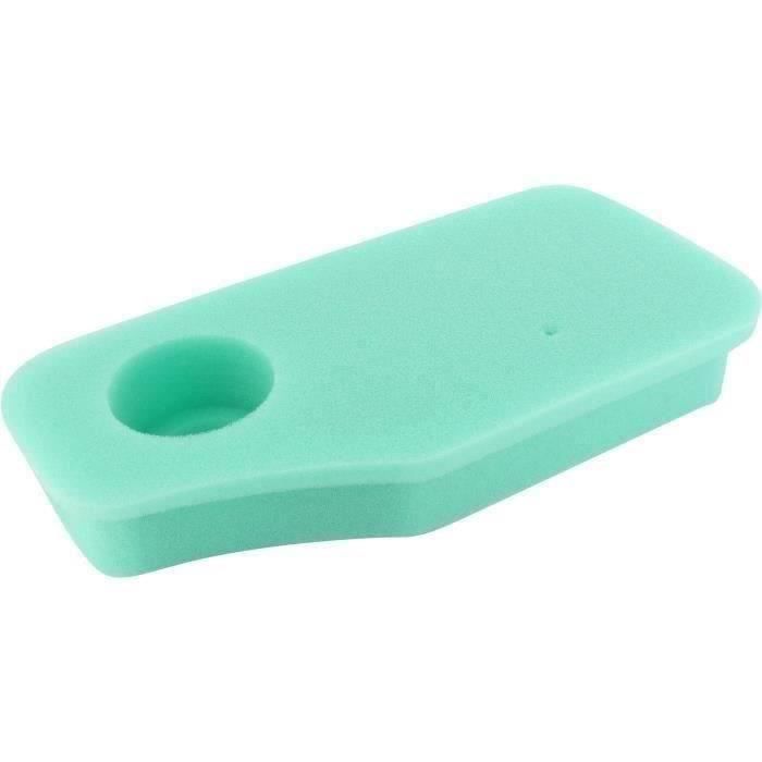 Filtre à air BRIGGS ET STRATTON 270843