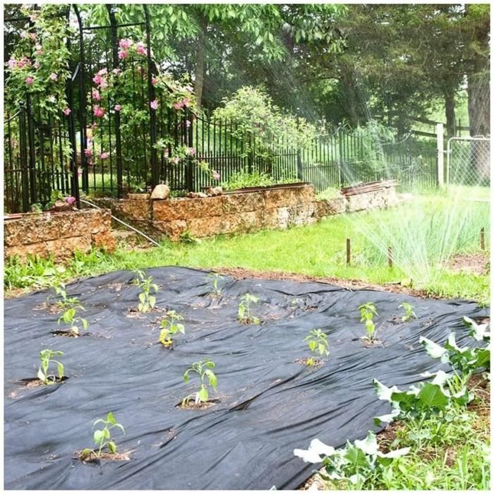 Film De Paillage Noir Perforé Pour Jardin – 0,95 X 10 M, En PE – Anti-Mauvaises Herbes, Pour Serre Et Potager