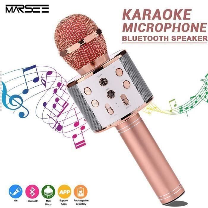 Microphone Sans Fil Karaoké Portable Bluetooth avec 2 Haut-Parleur Bluetooth Intégré Pour Android & iOS, Karaoké P16380