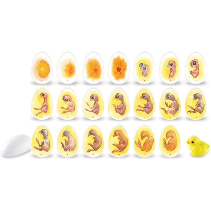 Prisme De Découverte Learning Resources - 10 Cm - Pour Expériences Lumineuses Et Scientifiques - À Partir De 8 Ans