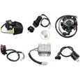 FOLAYA Kit de câblage du faisceau électrique pour boîtier CDI de bobine d'allumage pour ATV QUAD de 150,200 ou 250 cm²-1