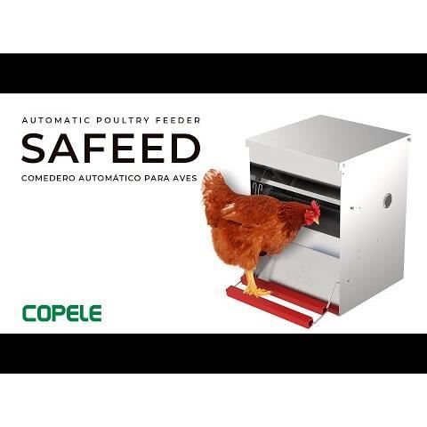 Mangeoire anti-nuisible automatique Safeed 20 kg - Cdiscount