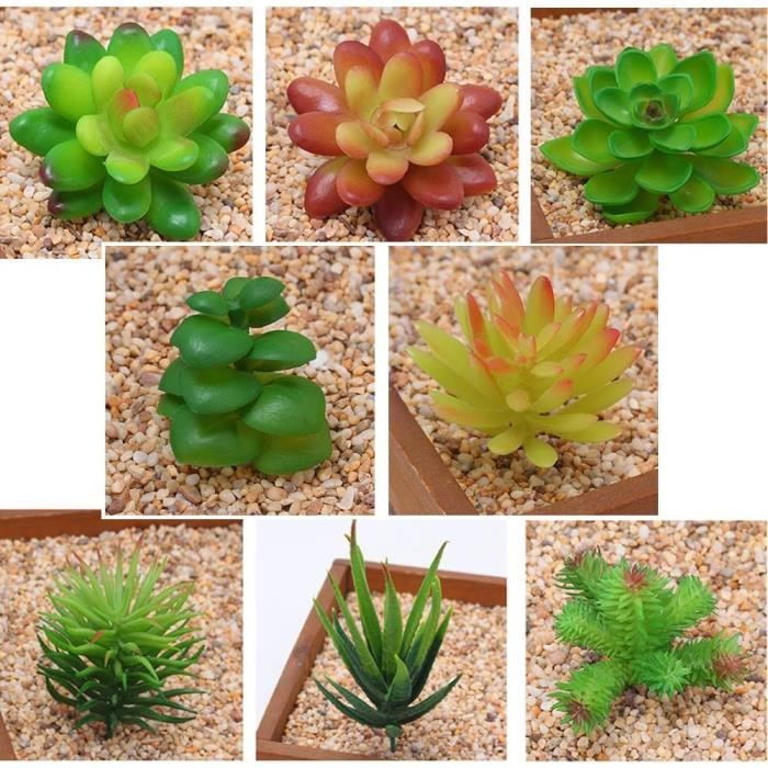 PLANTES SUCCULENTES ARTIFICIELLES Pot Vertes Jardinage Culture Facile