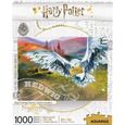 Puzzle Harry Potter Hedwig Aquarius - 1000 pièces - Cinéma et publicité - Multicolore-0