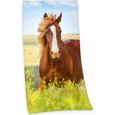 Serviette De Plage Cheval