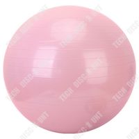 Ballon De Fitness Pour Pilates - Fit Ball 25 Cm, Utile Pour Pratiquer Des Gymnastes Et Exercices De Fitness à La Maison - Sport