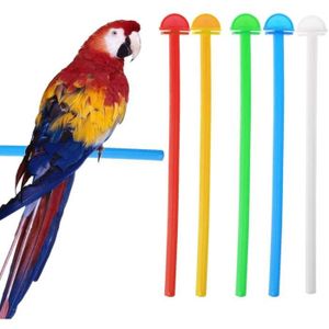 HSTURYZ Cage Oiseau sur Pied Voliere Oiseaux Interieur 46*35.3*150.6cm pour  Perruche Calopsitte Canari avec Support Détachable Noir - Cdiscount  Animalerie