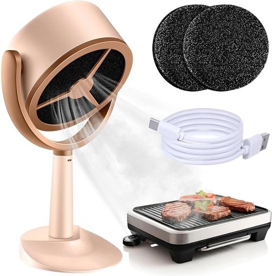Mini Hotte Aspirante Portable 180 M³/h - Extracteur De Fumée Avec 2 Vitesses, Filtre à Charbon, Idéal Intérieur