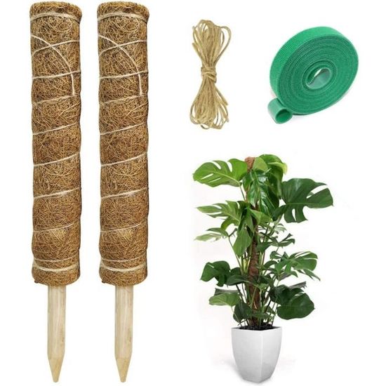 2 Pièces Tuteur Plante Support Plante Grimpante Tuteur Coco pour Plante Monstera Maison Jardin avec 1 Rouleau Serre Câbles (35 cm)