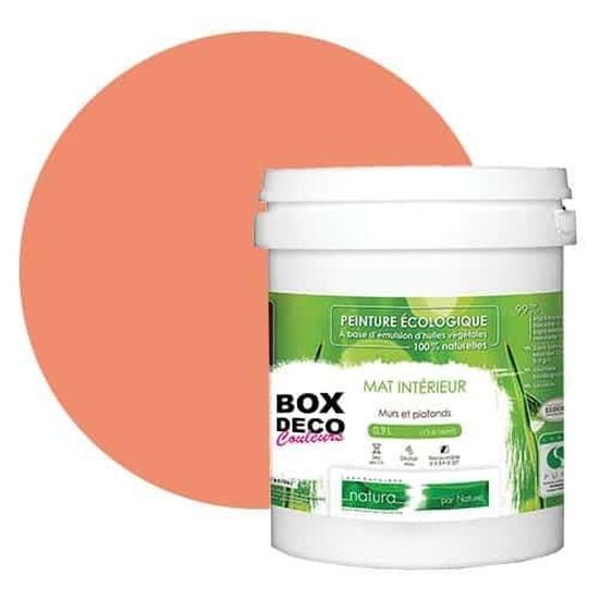 PEINTURE Teinte Rose Corail murale naturelle écologique aspect mat — free download