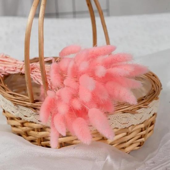 120 Queues De Lapin Séchées Naturelles - Herbe De Pampa Lagurus Ovatus, 60 Cm, Décoration Mariage Noël