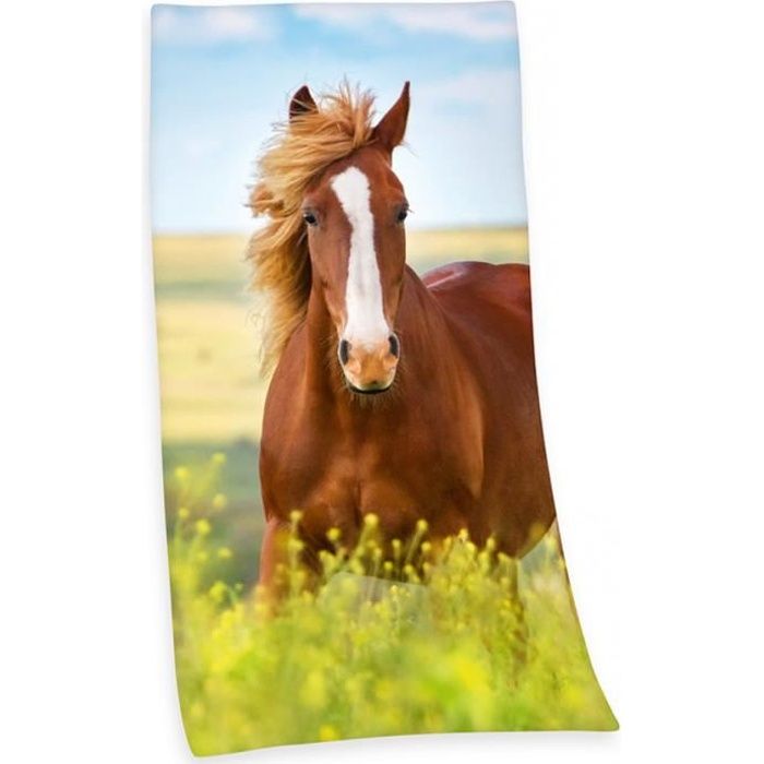 Serviette de plage cheval
