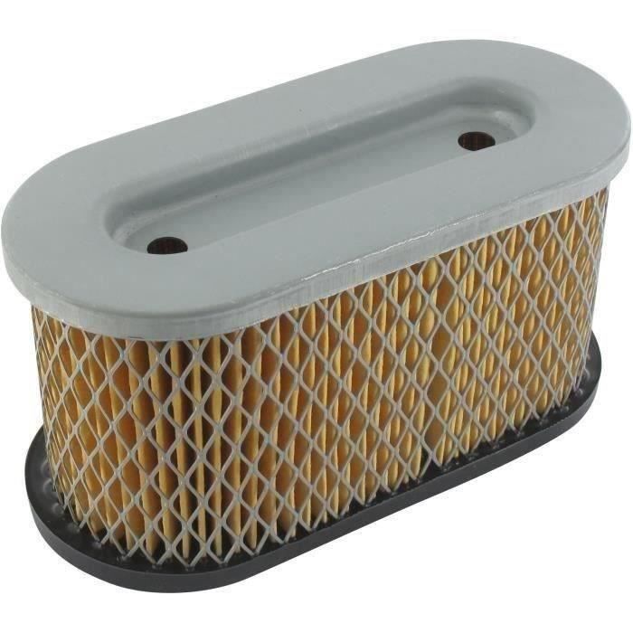 Filtre à air BRIGGS ET STRATTON 491950