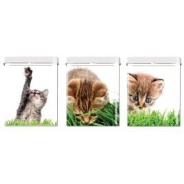 Boite Cigarettes Chaton 1 Achat Vente Boite Blague A Tabac Boite Cigarettes Chaton 1 Cdiscount