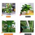 2 Pièces Tuteur Plante Support Plante Grimpante Tuteur Coco pour Plante Monstera Maison Jardin avec 1 Rouleau Serre Câbles (35 cm)-3